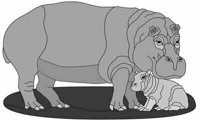Hippo and Baby