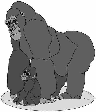 Dad Gorilla and Baby