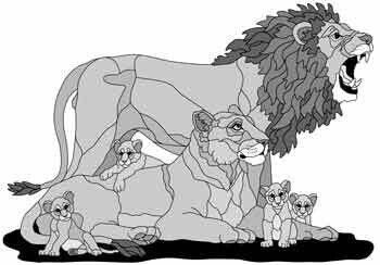Lion Family Oversized