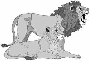 Lion and Lioness