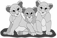 Lion Cubs