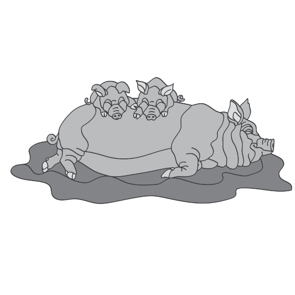 Pig and Piglets