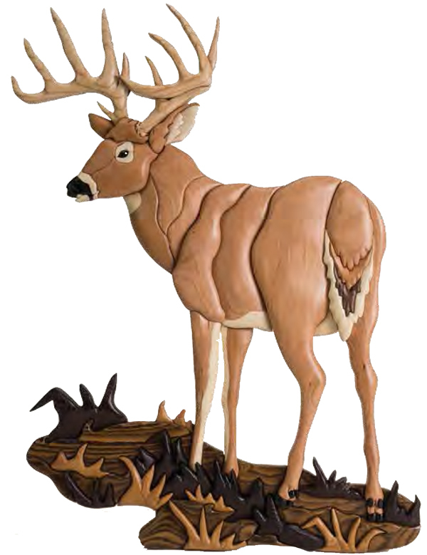 Whitetail Buck Standing Download