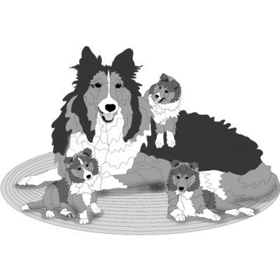 Collie and Pups