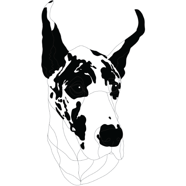 Great Dane Head 2