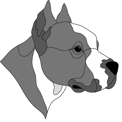 Pit Bull Head