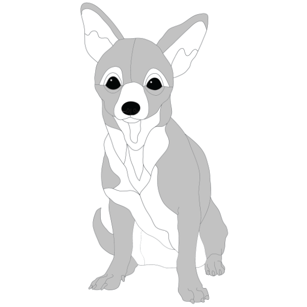 Chihuahua Sitting