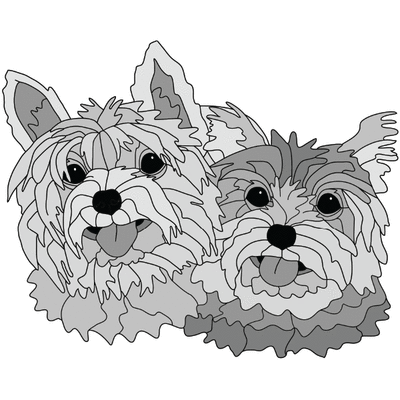 Yorkshire Pair
