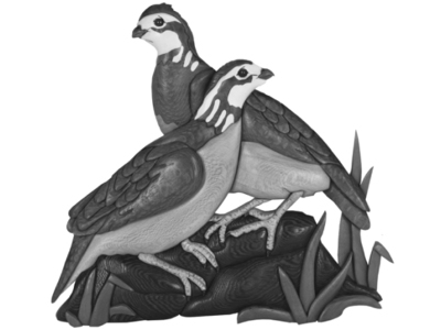 Bobwhite Pair