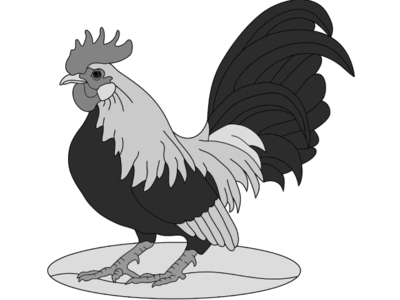 Bantam Rooster