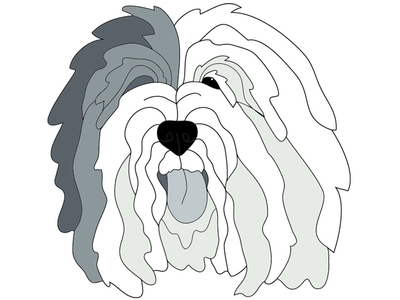 Old English Sheepdog Head