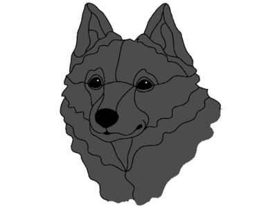 Schipperke Head