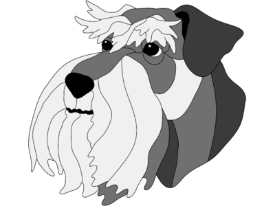 Schnauzer Head