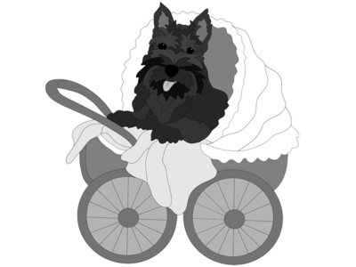 Scottish Terrier in Carriage