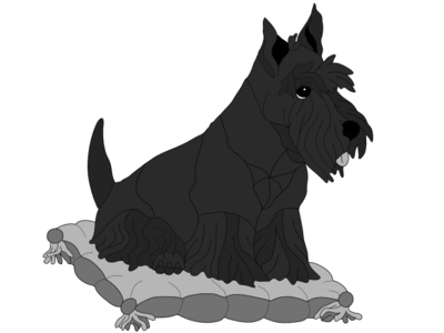 Scottish Terrier on Pillow