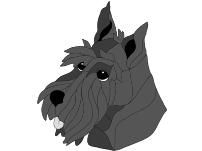 Scottish Terrier Head