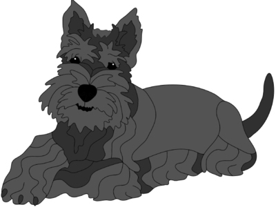 Scottish Terrier Lying