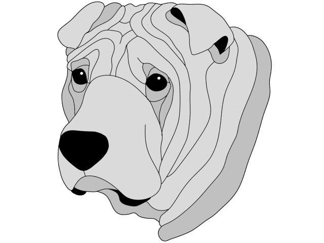 Shar Pei