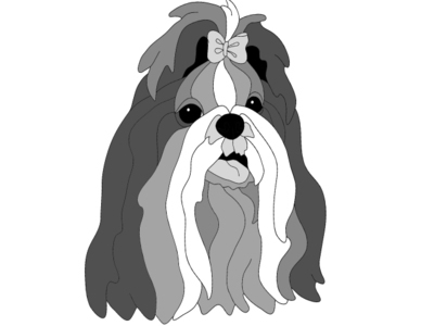 Shih Tzu Head