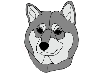 Shiba Inu Head