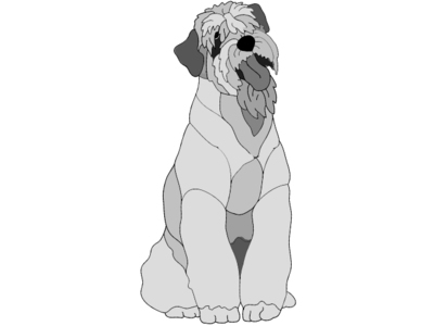 Soft Coated Wheaten Terrier Sitting