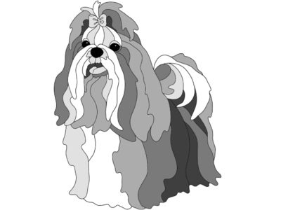 Shih Tzu Standing
