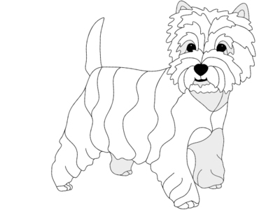 West Highland White Terrier Standing