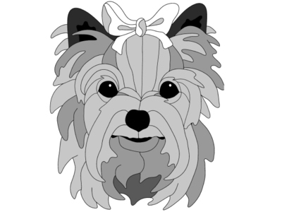 Yorkshire Terrier Head