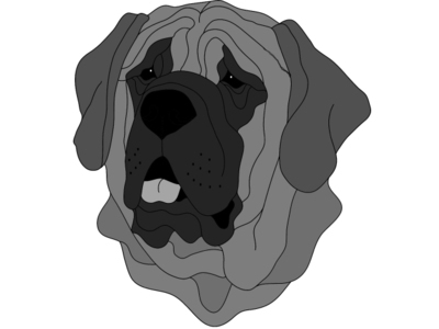 Mastiff Head