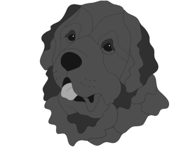Newfoundland Head