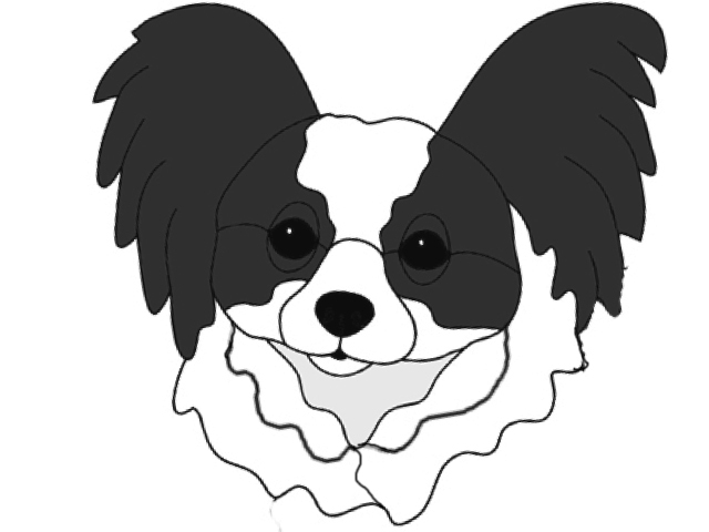 Papillon Head