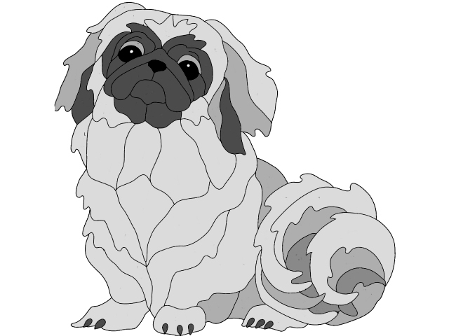 Pekingese Sitting