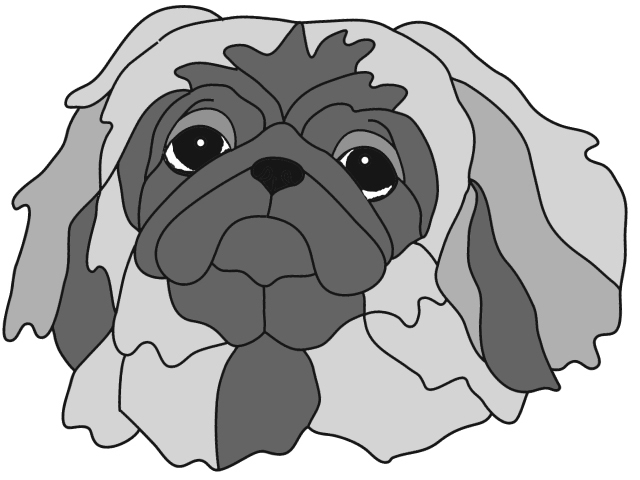 Pekingese  Head