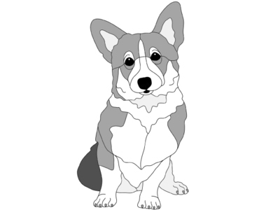 Pembroke Welsh Corgi Sitting