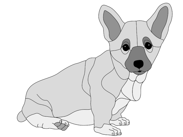 Pembroke Welsh Corgi Puppy