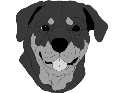 Rottweiler Head