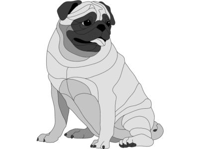 Pug Sitting