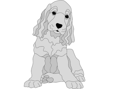 Cocker Spaniel Puppy
