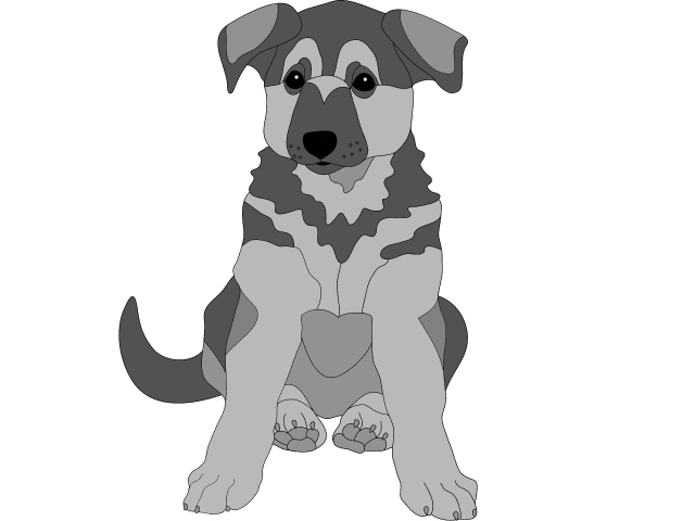 German Shepherd Puppy