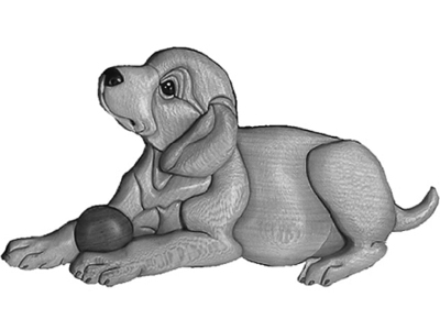 Labrador Puppy with Ball
