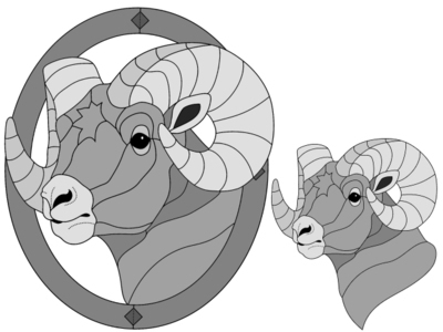 Bighorn Sheep Head