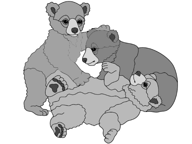 Bear Cubs