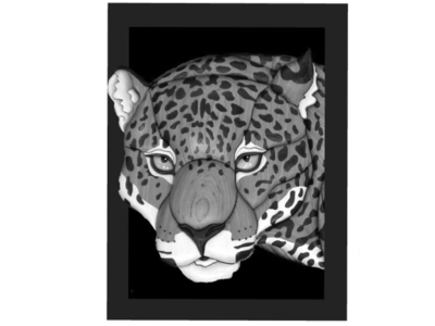 Jaguar Head in Frame
