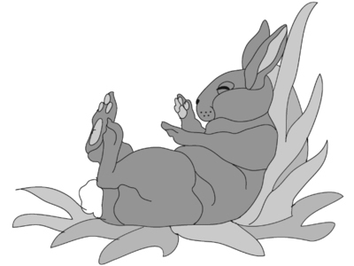 Lazy Rabbit