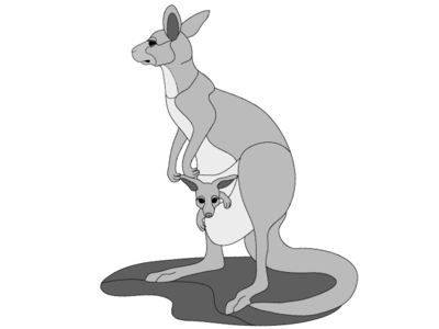 Kangaroo and Baby