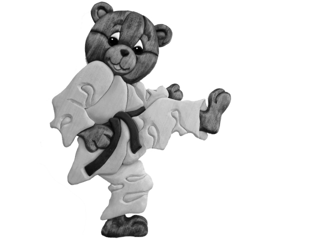 Karate Bear