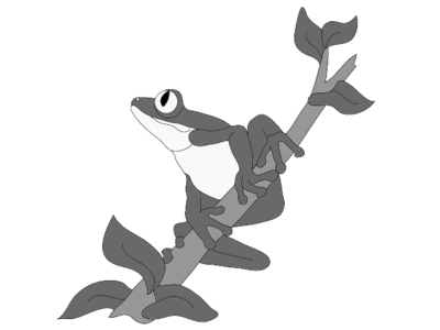 Tree Frog