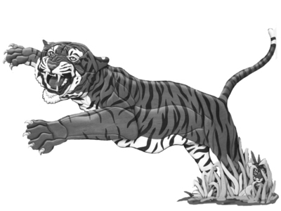 Tiger Jumping Expert Pattern