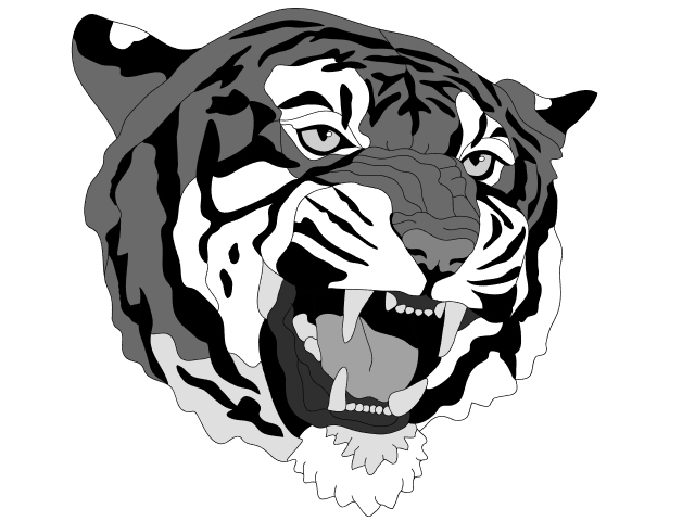 Tiger Head