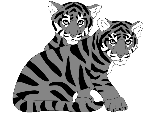 Tiger Cubs